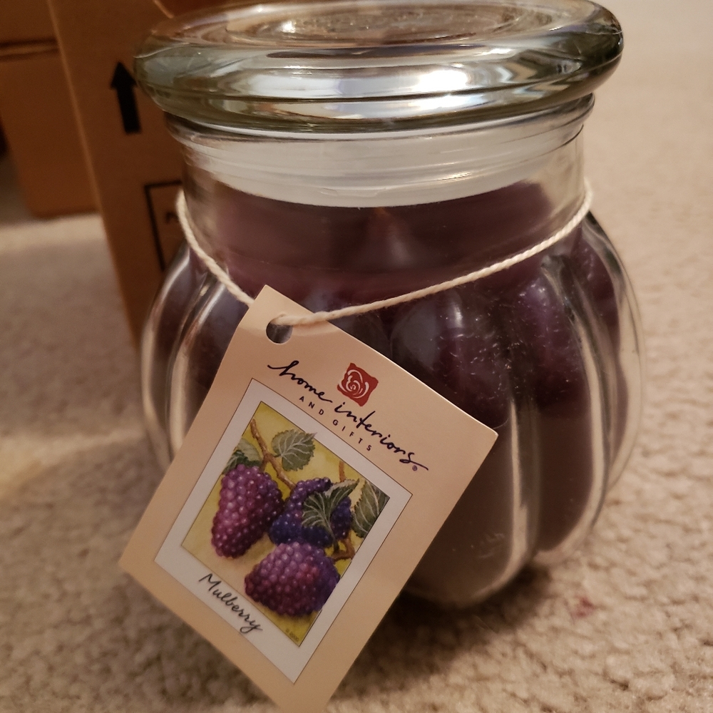 Home interiors mulberry med candle